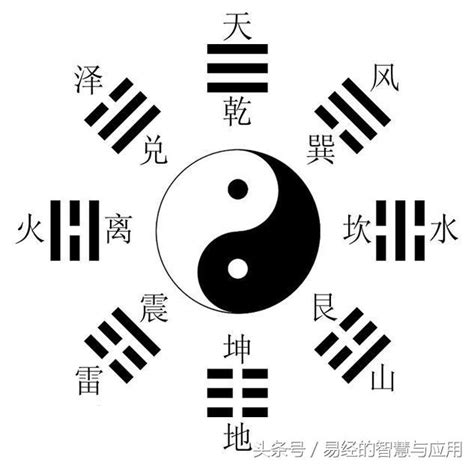 八卦會|八卦：易經哲學中的基本概念